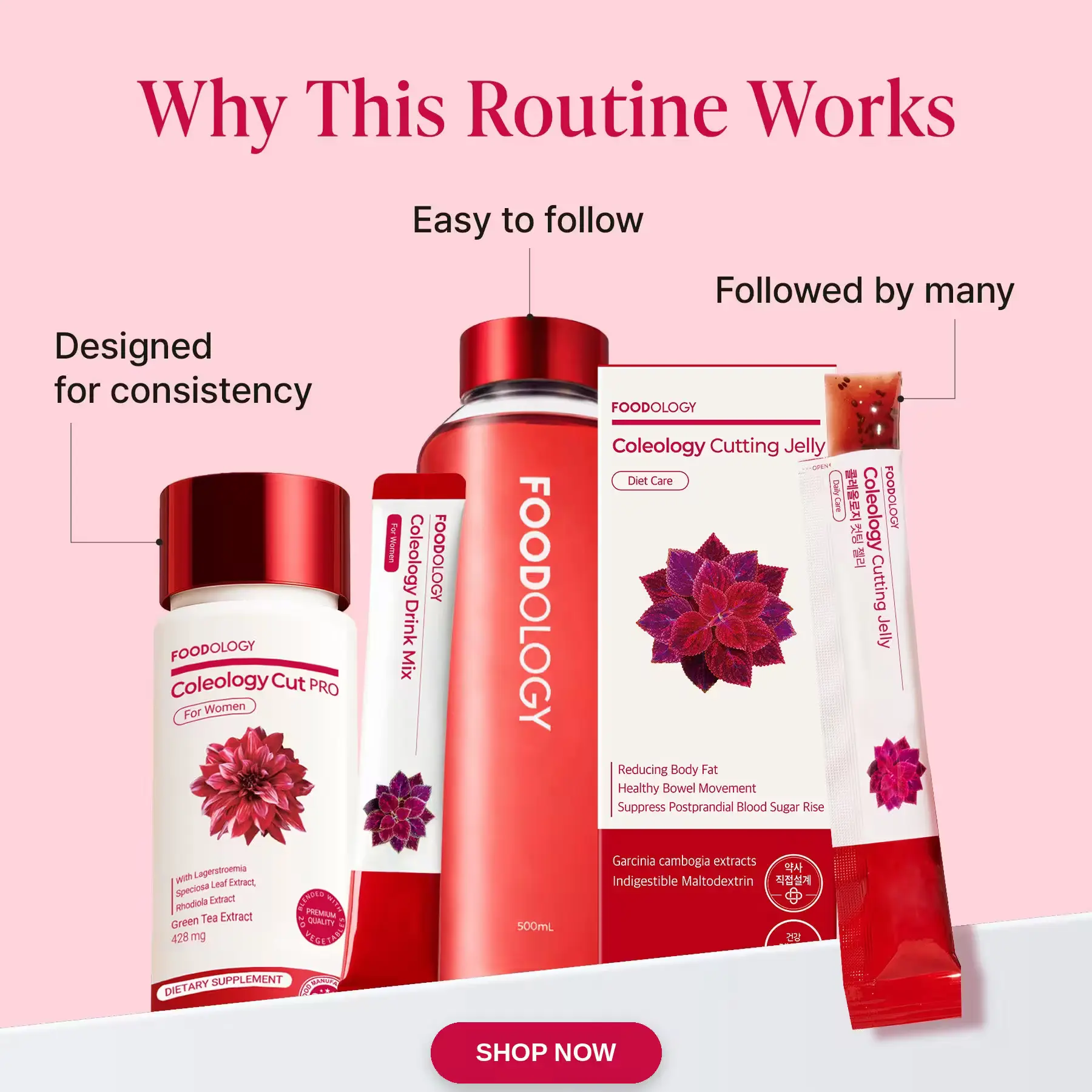BeautyZone promotional banner