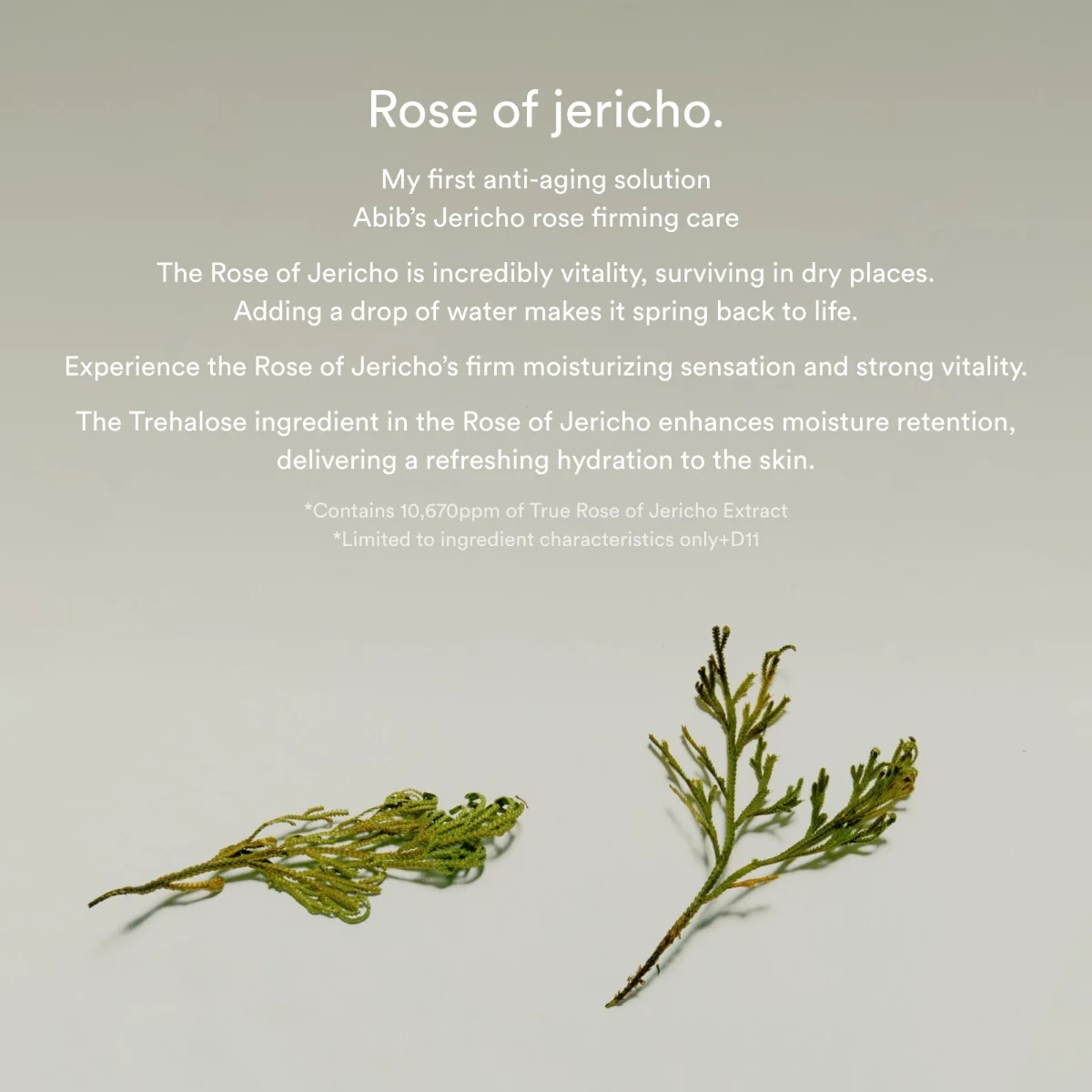 ABIB Jericho Rose Non-Animal Collagen Pad Firming Touch 250 ml / 60 Pads