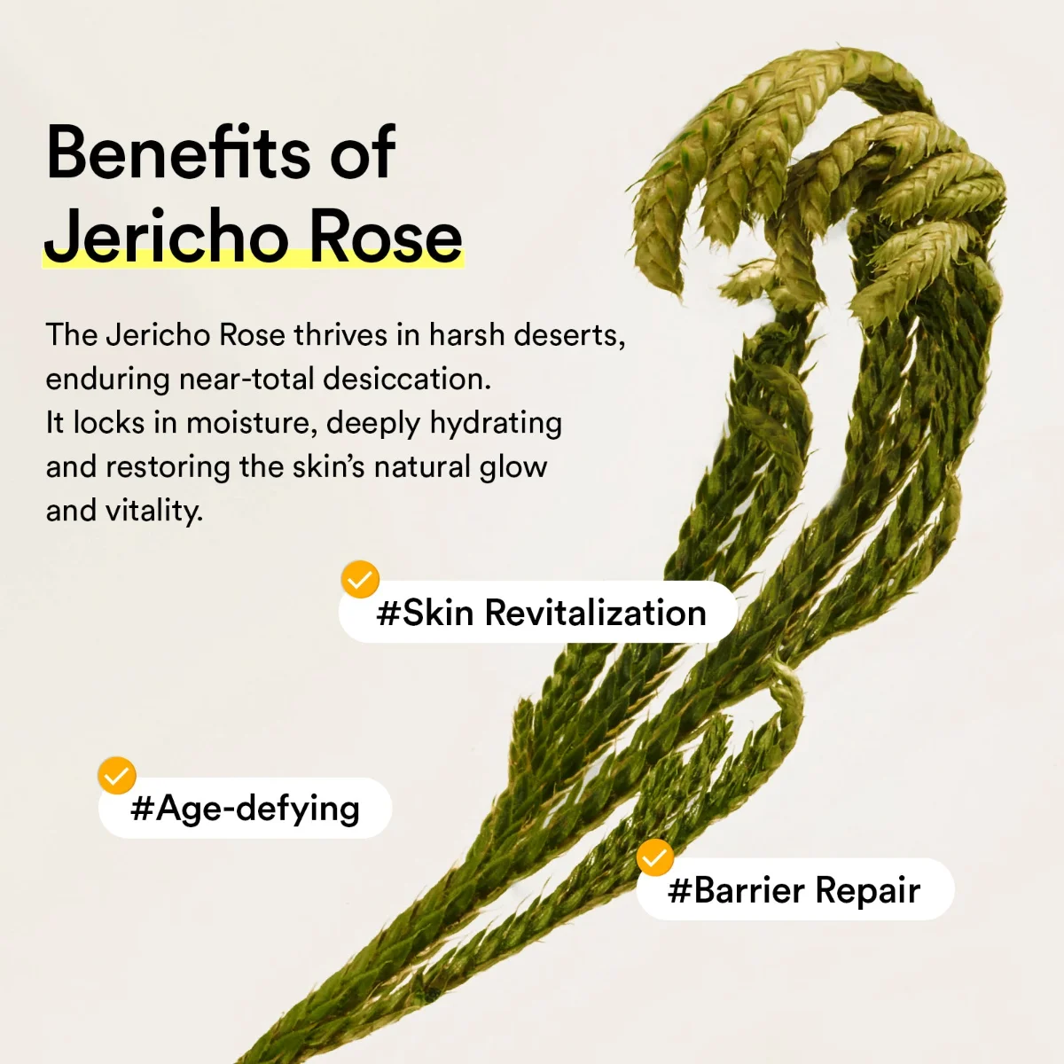 ABIB Jericho Rose Mist Serum Glow Spray 100 ml