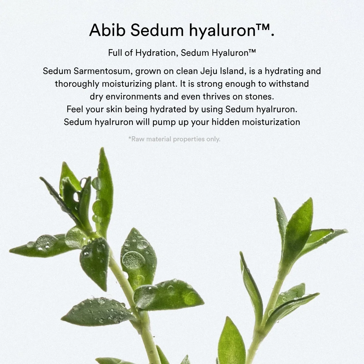 ABIB Sedum Hyaluron Cream Hydrating Pot 80 ml